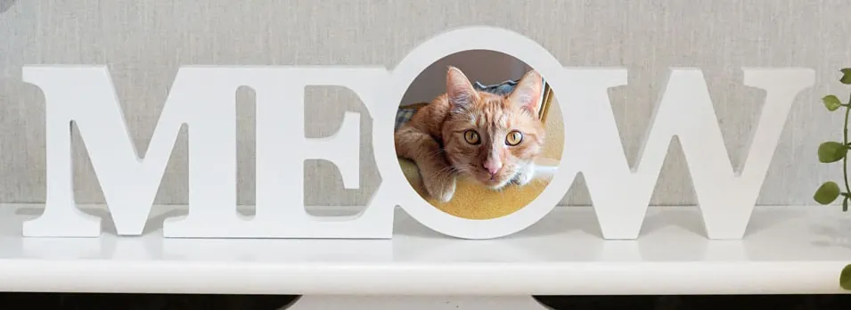 Wood Block "Meow" — Furry Friends