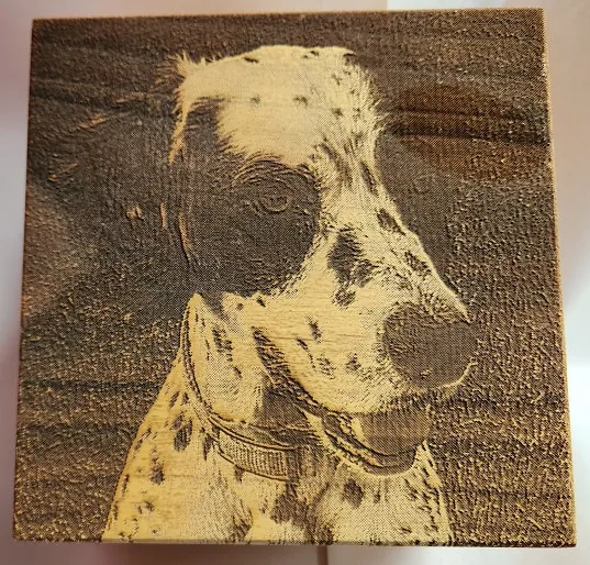 Furry Friends — example 1