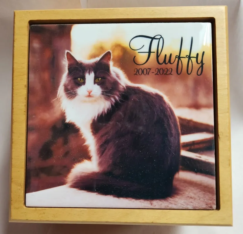 Furry Friends — example 3